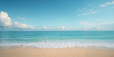 Peaceful beach with gentle waves and clear blue sky.