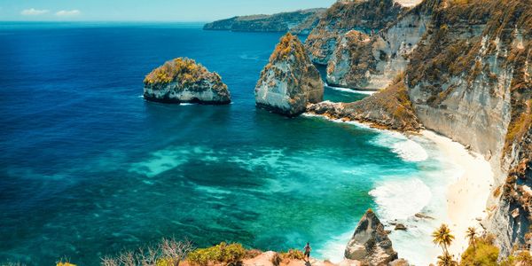I took Some of these pictures of the wild horses at the Outer Banks of North Carolina.   