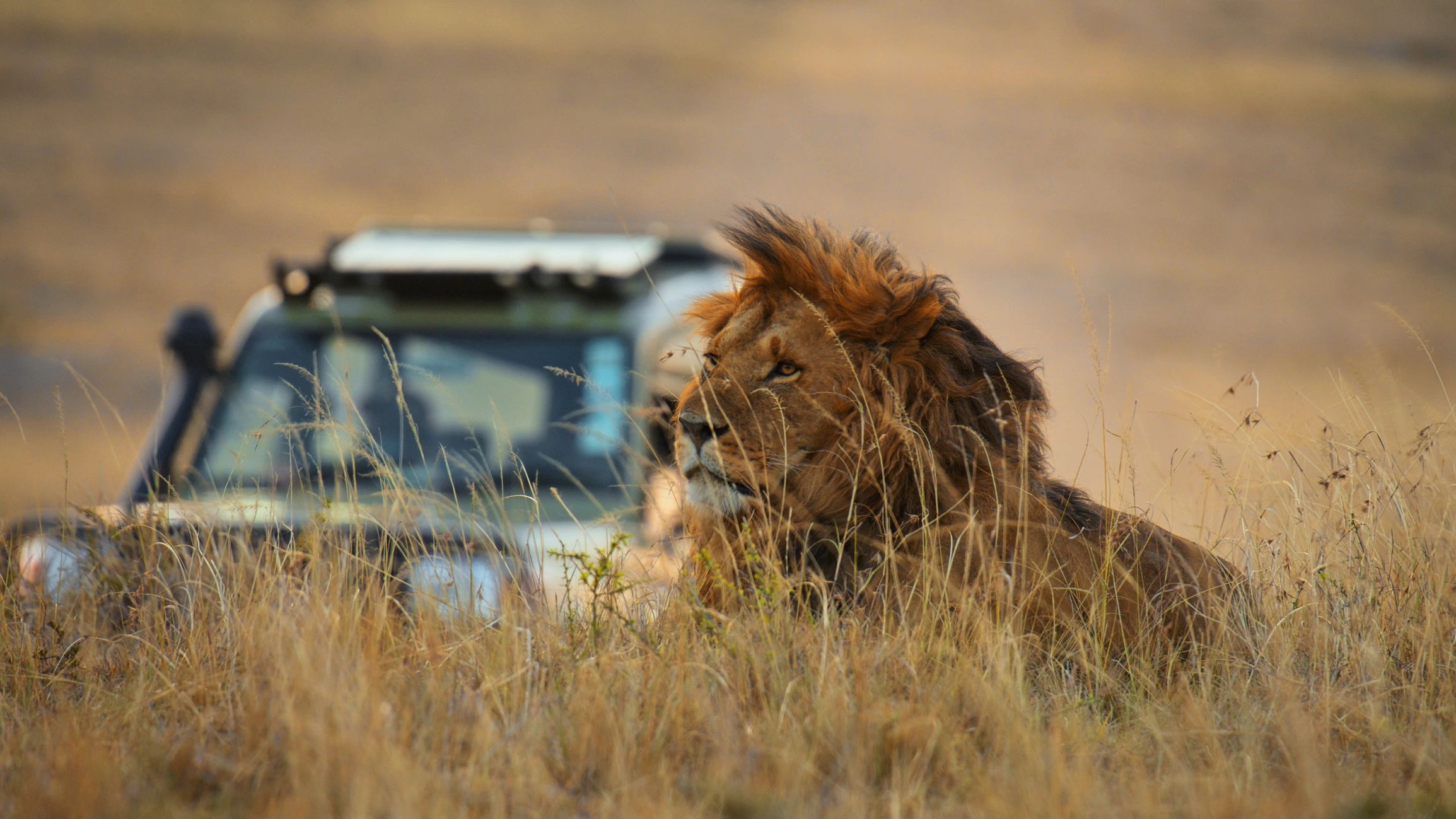 5 start bespoke hunting services. 