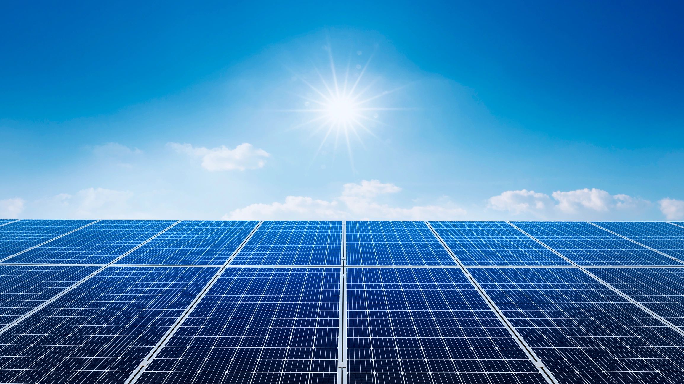 Suncoast Solar Shine