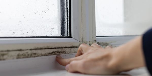 Hand touching moldy window frame with condensation outside.