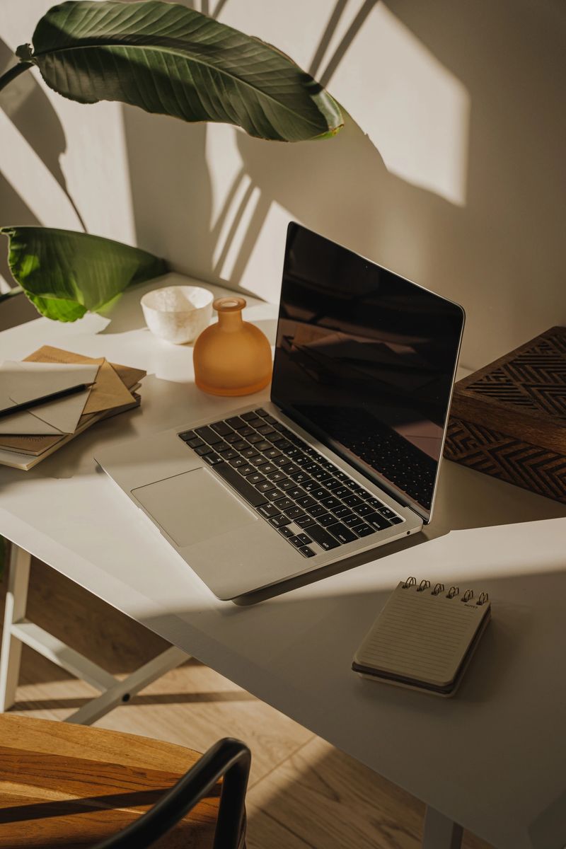 Minimalist workspace with laptop, stationery and green plant, illuminated by natural light