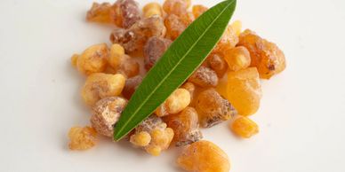 Close-up of amber resin pieces with a green leaf on a white background.