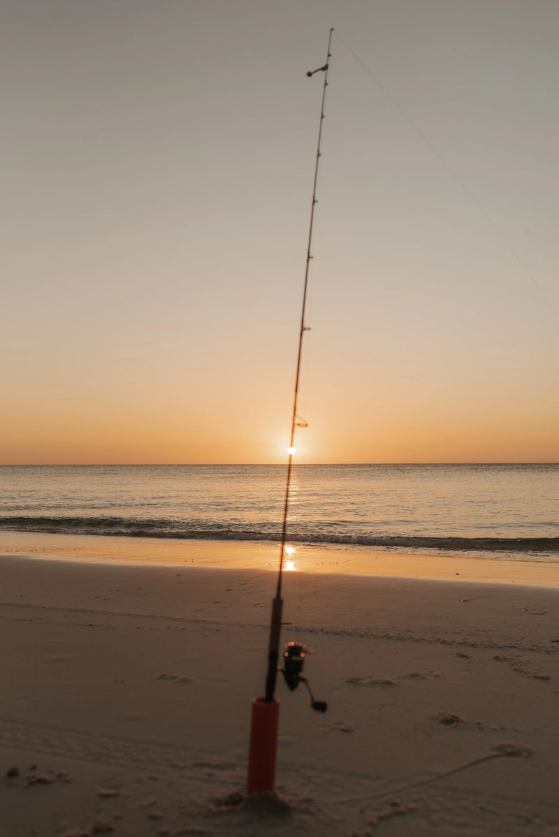 Single Fishing Rod set up on a beach at sunset