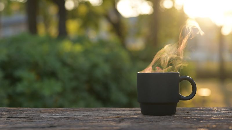 Relaxation Moment with Hot Drink Americano, Espresso or Hot Tea Concept, Outdoor Golden Hour, Coffee Cup, Mug in Nature Setting Tranquil Scene