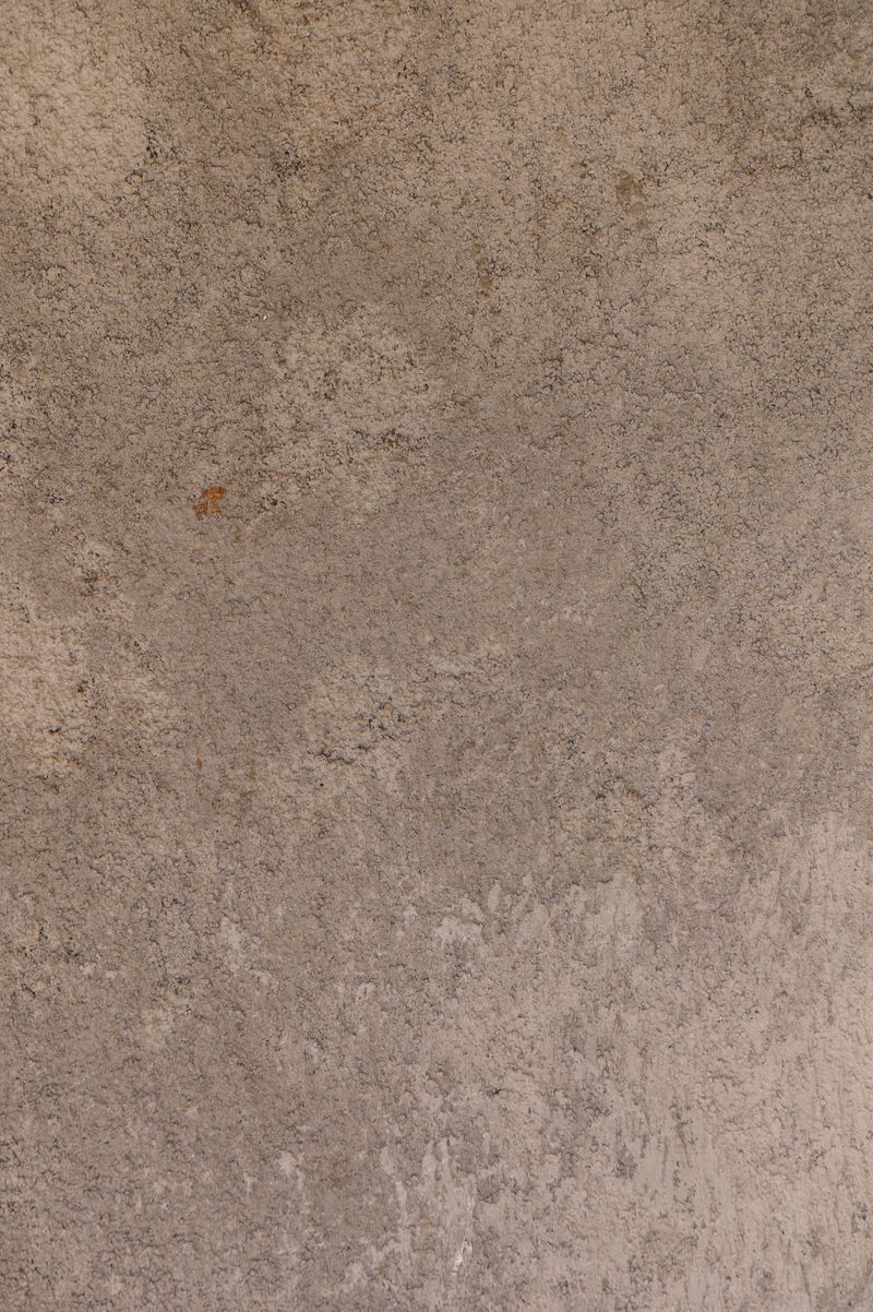 A close-up view of a beautifully textured concrete surface, showcasing unique patterns and hues in warm daylight