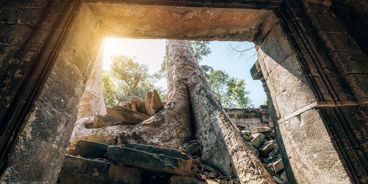 This tree represents the foundation of MRP Construction & Restoration — deeply rooted in family, tradition, and New Hampshire soil. Like the branches that reach upward, our company has grown through three generations of residential and commercial construction, historic restoration, and property maintenance. Strong roots. Lasting impact.