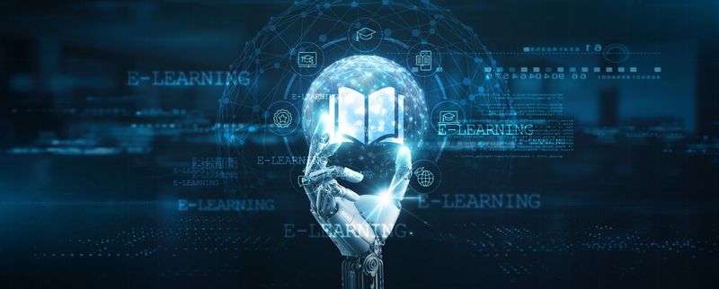 Education & Training Platforms