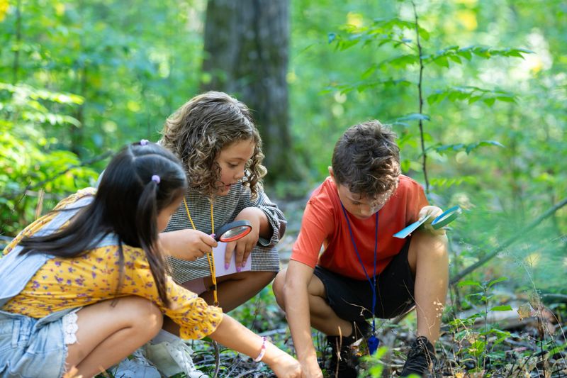 A small group of elementary students are seen exploring nature around them as they take their science class outdoors.  They have magnifying glasses and notepads as they record their findings to bring back and share with the class.