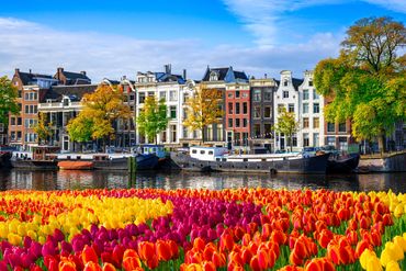 Tulip time in Amsterdam