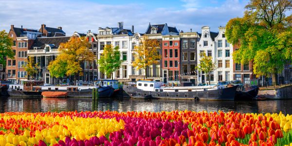 Colorful tulip fields by a canal with boats and historic buildings.