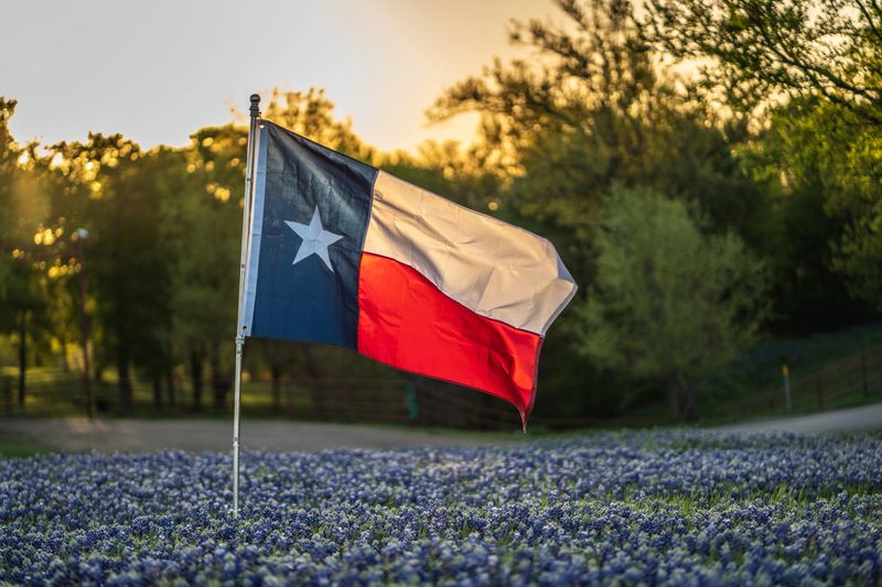 Texas Flag Blowing In The Wind In Field of Bluebonnet Flowers Surrounded By Trees With Shining Golden Hour Sunset Sky