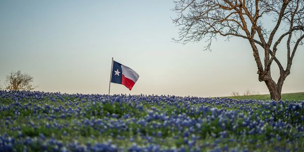 Texas flag in freedom