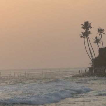 Sunset beach with palm trees and gentle waves.