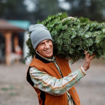 Man carrying a freshly cut Christmas tree on his shoulder.