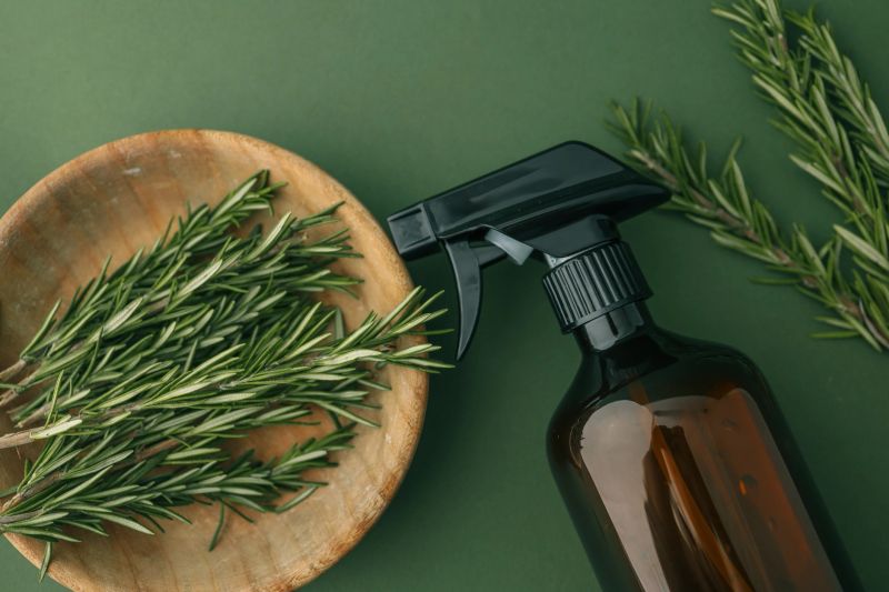 Flat lay of fresh rosemary sprigs in a wooden bowl with an amber spray bottle on a green textured background. A natural and eco-friendly concept for home or herbal use.