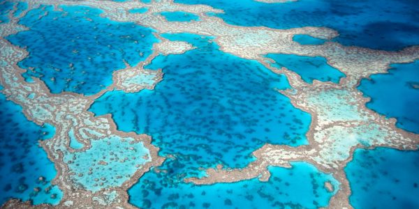 Aerial view of a vibrant coral reef in clear blue water.