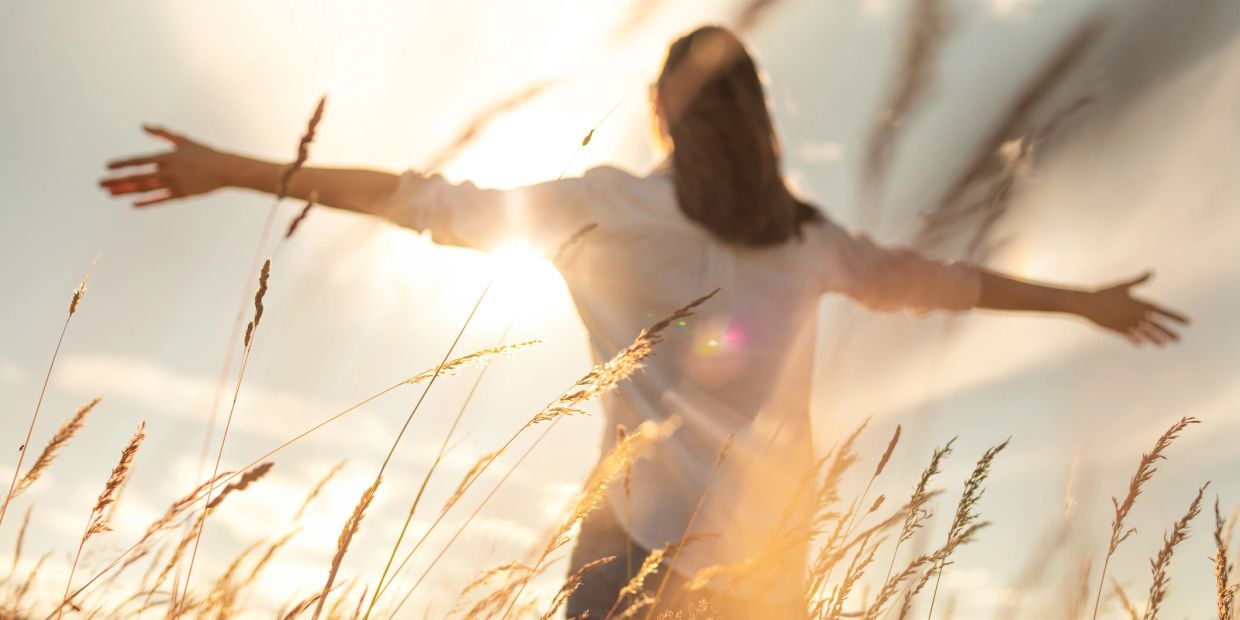 Person with arms outstretched in a sunlit field of tall grass.