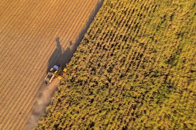 A tractor harvesting crops in a large field during golden hour.