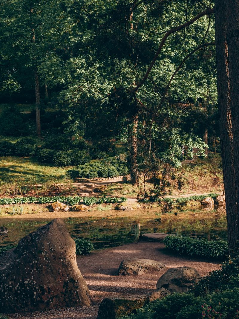 A beautiful botanical garden. Beautiful forest.