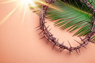 A crown of thorns with palm leaves and sunlight on a peach background.