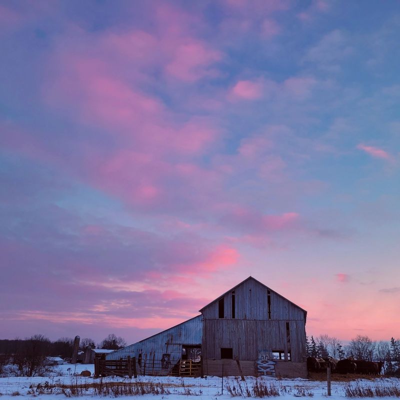 Sunsetting behind an old barn in a country field in the winter. Sky of pinks and purples.
