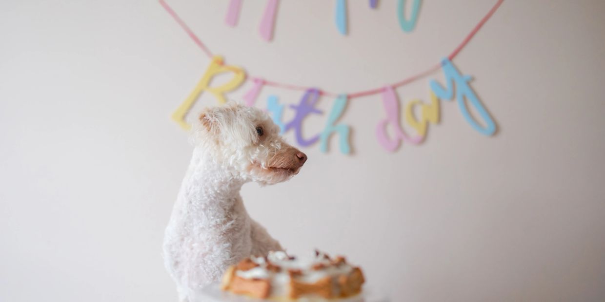 Motas celebrando su cumpleaños