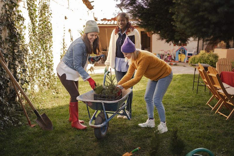 Three women planting trees in the backyard, enjoying a sunny day