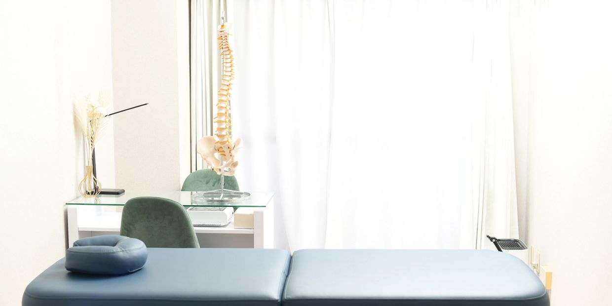 Bright, clean therapy room with massage table and spine model.