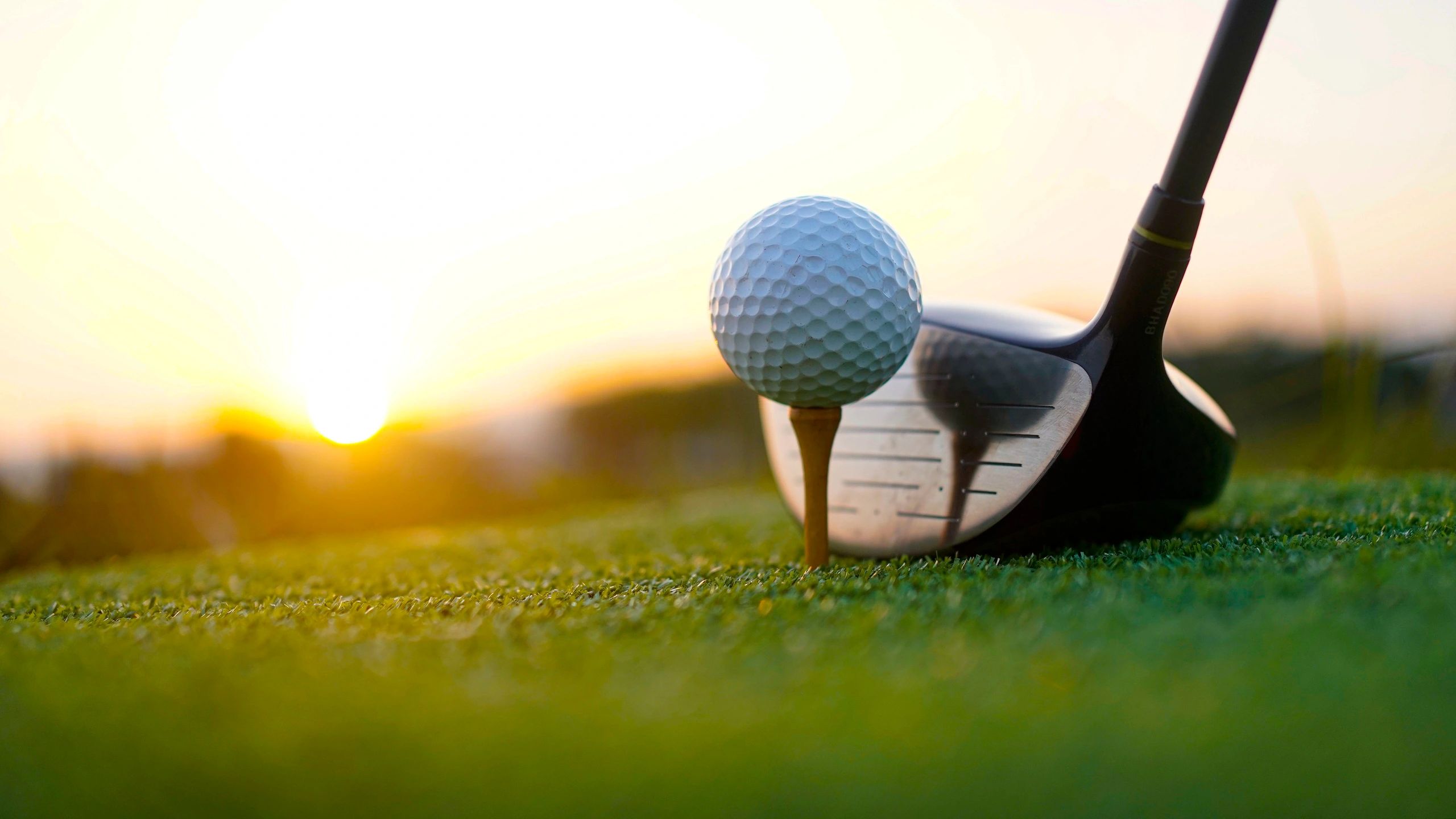 home putting green, home golf course, backyard golf, golfing, putting green, home putting green, 
