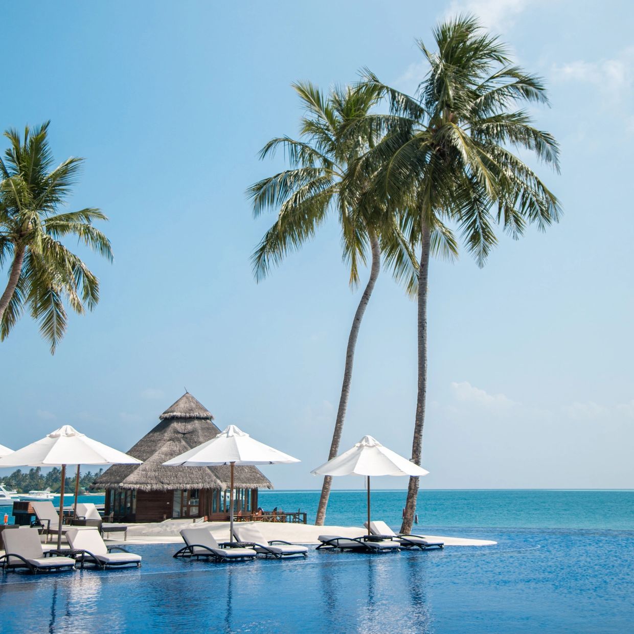 private luxury travel planning services

elite travel advisor Canada

luxury travel concierge servic