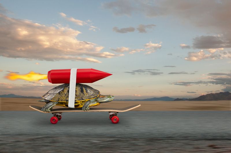 Conceptual image of tortoise riding skateboard with rocket on back, John M.Lund
