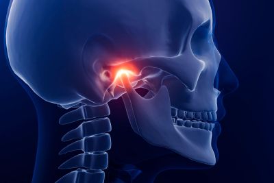 Highlighted jaw joint in skull X-ray