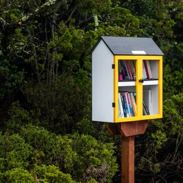 Little free library box filled with books in a green park.