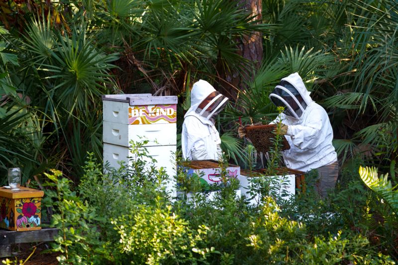 Beekeepers at an apiary.  Seen in Brevard Zoo, Melbourne, FL, USA