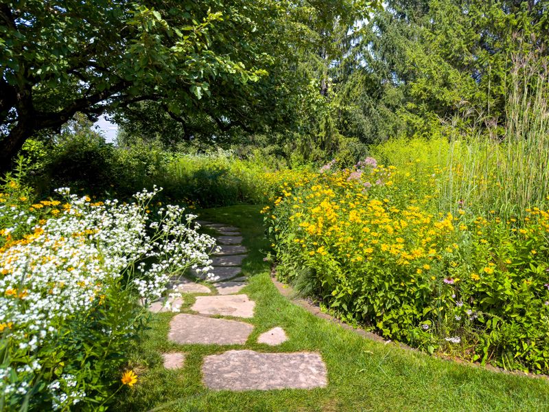 Stone path leading through a native plant garden