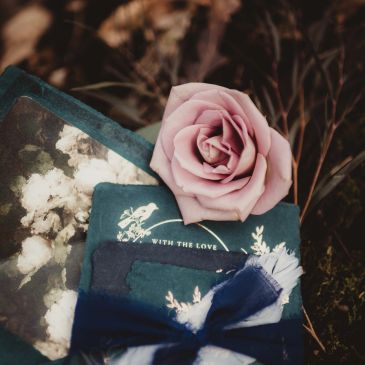 A pink rose on a dark green gift box.