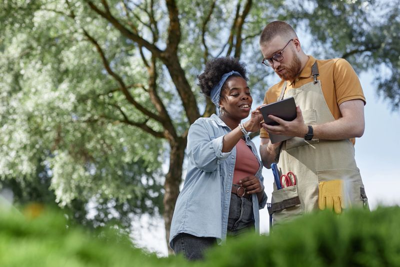 Low angle shot of of professional African American female landscaper pointing at tablet computer cheerfully discussing design project with male worker in plant nursery, copy space
