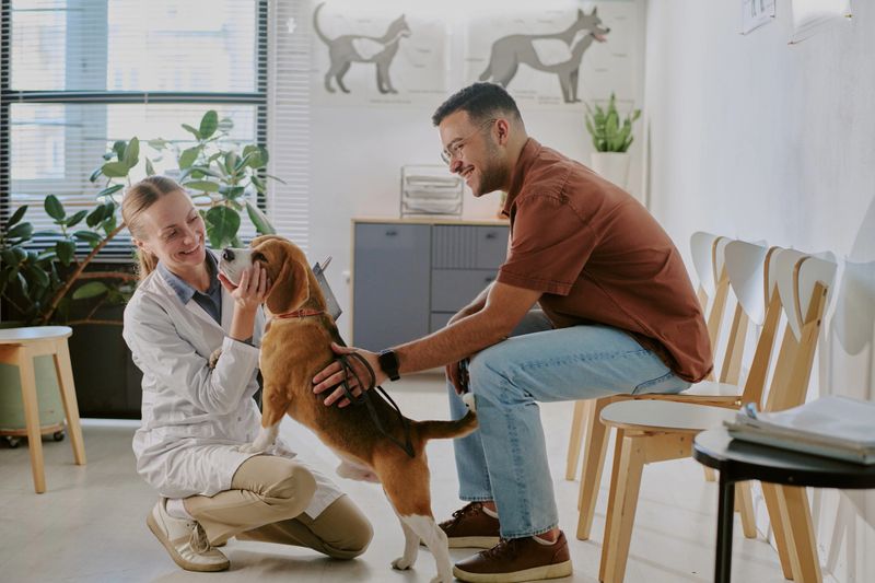 Smiling veterinarian examining dog while dog owner holding pet in modern clinic with bright lighting. Scene showing friendly and caring environment