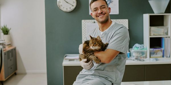 A smiling veterinarian holding a tabby cat in a clinic.