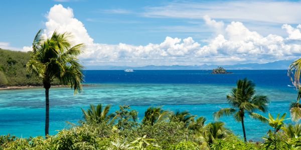 Tropical island view with clear blue sea and palm trees under a bright sky.
