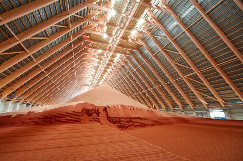 Large heap of colorful potassium fertilizers in plant storehouse. Finished product of contemporary chemical factory. Mineral supplement for farmers