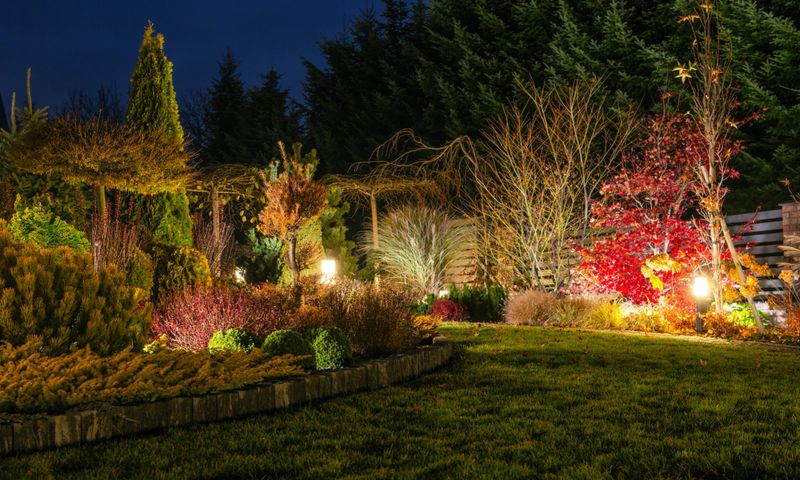 The garden is illuminated by soft led lights, highlighting colorful plants and textures, creating a serene nighttime atmosphere in a well-maintained outdoor space.