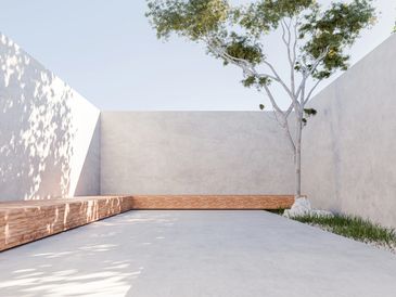 Minimalist outdoor courtyard with wooden bench and tree.