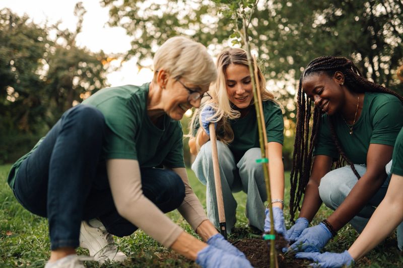 Four volunteers in green shirts plant a tree in the park, smiling and working together, showing anyone can help the environment. Sunlight shines through the trees, symbolizing hope and growth