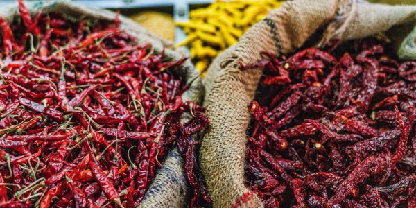 Two sacks filled with dried red chili peppers.