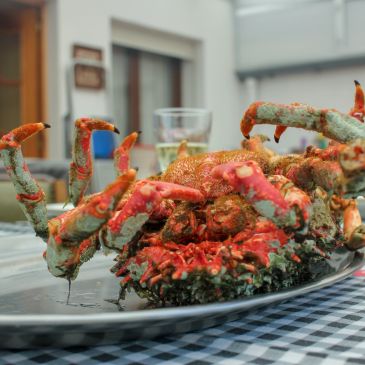 Close-up of a cooked crab on a platter.