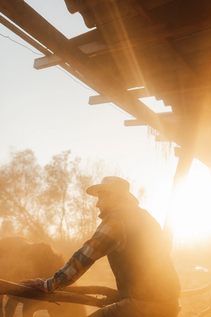 Photo of a mid adult men working on his horse ranch