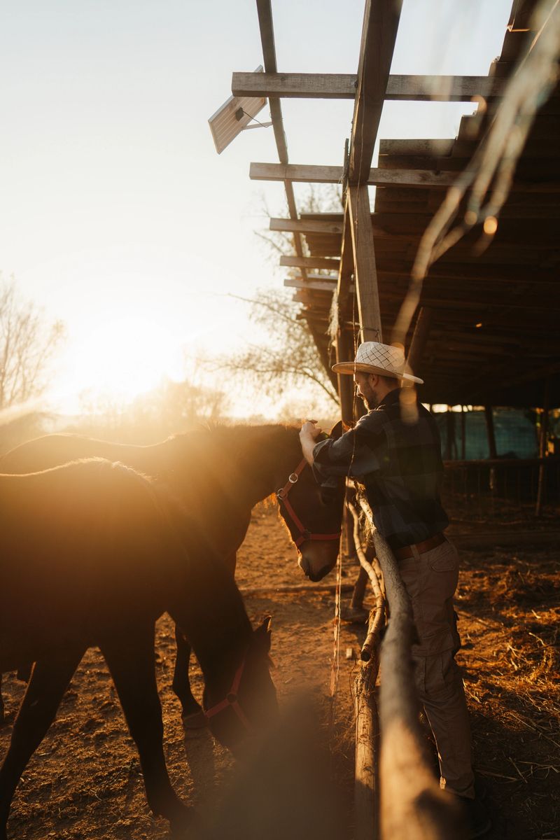 Photo of a mid adult men taking care of his animals at the horse ranch