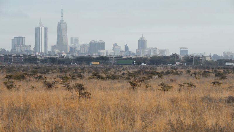 The vast savannah of Nairobi National Park extends towards the urban skyline of Nairobi, where nature meets the city's rising structures. A distinct contrast between wild terrain and modern architecture.